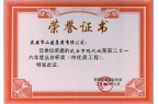 我公司多個(gè)工程項(xiàng)目榮獲2016年度“叢臺(tái)